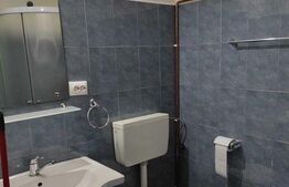 Garsoniera, 29 mp, Viile Sibiului 