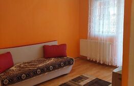 Garsoniera, 30 mp, Lazaret 