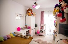 Penthouse  4 camere, 116 mp, Tineretului 