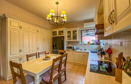 Casa deosebita, 3000 mp de teren, Calea Plopacii