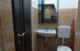 Garsoniera, 21 mp, etaj 1, in Broscarie