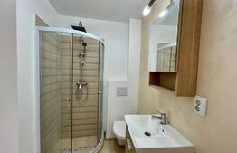 Apartament 2 cam, la casa, cu pivnita, 70 mp, Terezian