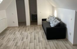 Apartament 2 cam, la casa, cu pivnita, 70 mp, Terezian