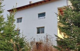 Vila 17 camere, 500 mp, 250 mp teren, Paltinis