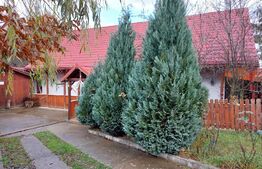 Casa unifamiliala, 6 camere, 120 mp, teren 2780 mp, Tocile 