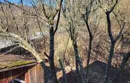 Casa unifamiliala, 6 camere, 120 mp, teren 2780 mp, Tocile 