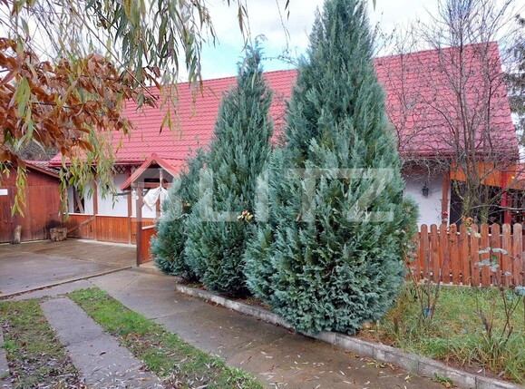 Casa de vânzare 6 camere Exterior Sud - 102531CV | BLITZ Sibiu | Poza3