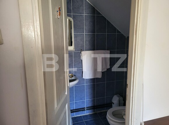 Casa de vânzare 6 camere Exterior Sud - 102531CV | BLITZ Sibiu | Poza10