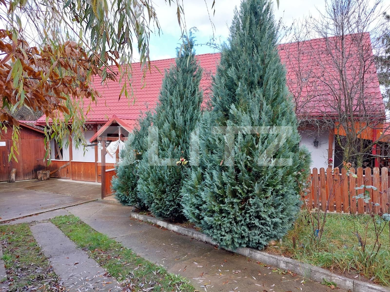 Casa de vânzare 6 camere Exterior Sud - 102531CV | BLITZ Sibiu | Poza3