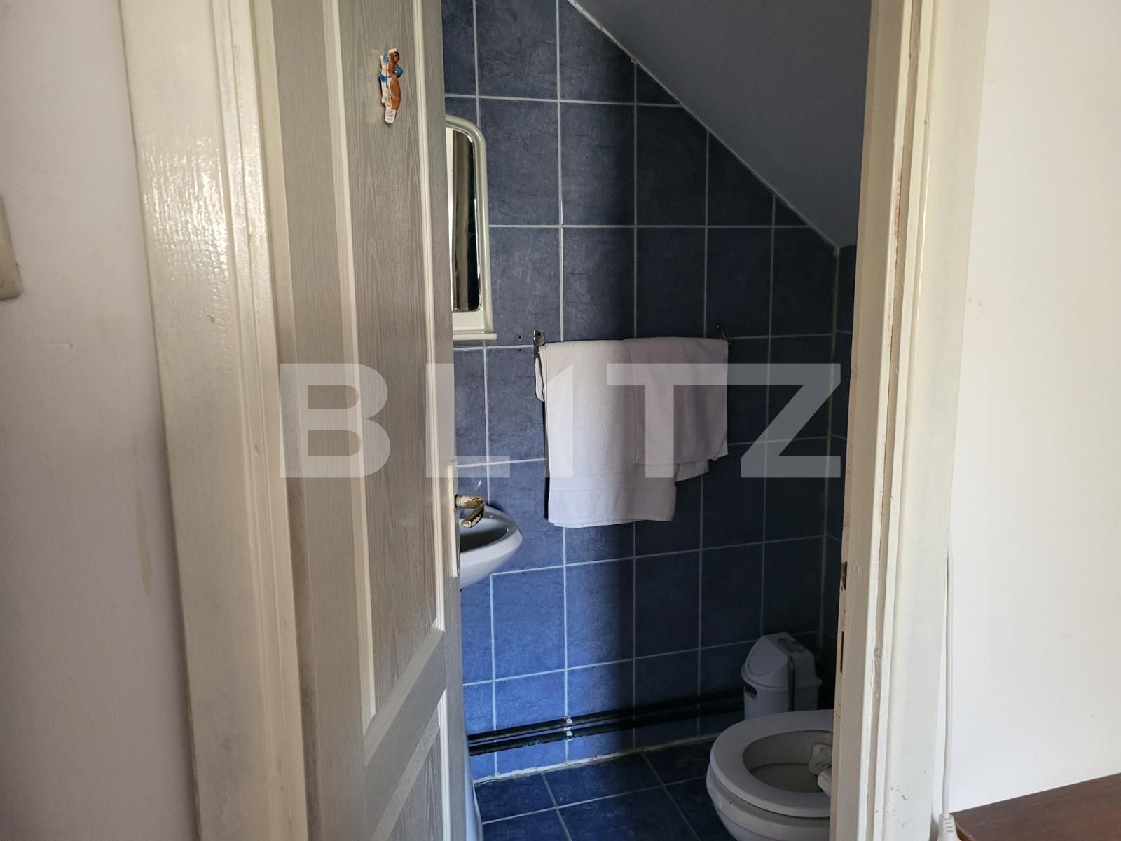 Casa de vânzare 6 camere Exterior Sud - 102531CV | BLITZ Sibiu | Poza10