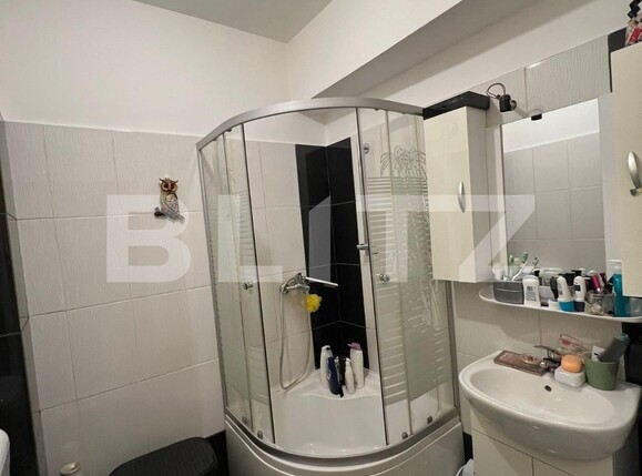 Apartament de vânzare 2 camere Calea Cisnadiei - Arhitectilor - 103039AV | BLITZ Sibiu | Poza17