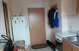 Garsoniera, 29 mp, mansarda, Terezian