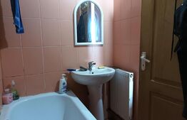 Garsoniera, 29 mp, mansarda, Terezian