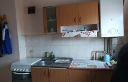 Garsoniera, 29 mp, mansarda, Terezian