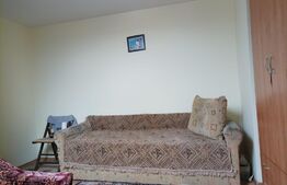 Garsoniera, 29 mp, mansarda, Terezian