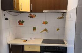 Garsoniera, 24 mp, parter inalt, zona Garii