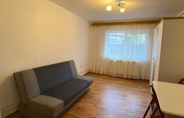 Garsoniera, 24 mp, parter inalt, zona Garii