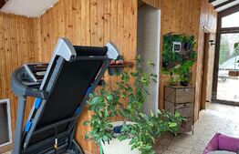 Casa 4 camere, teren de 1870 mp, Sura Mica