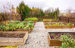 Casa 4 camere, teren de 1870 mp, Sura Mica