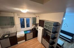 Apartament 3 camere, la mansarda, super pret