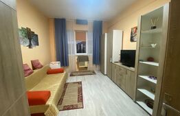 Garsoniera 20 mp, etaj intermediar, cartierul Terezian.