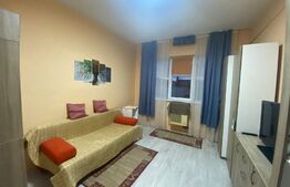 Garsoniera 20 mp, etaj intermediar, cartierul Terezian.