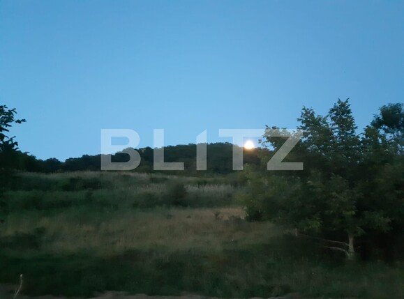 Teren de vânzare Gusterita - 104360TV | BLITZ Sibiu | Poza3