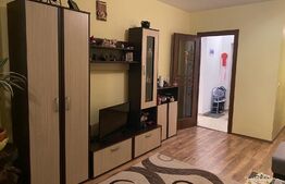 Apartament 2 camere, decomandat, cartier Terezian