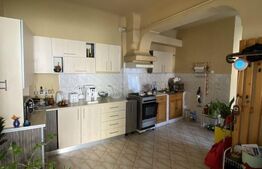 Imobil cu 2 apartamente, 120 mp utili, Ultracentral