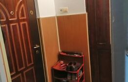 Garsoniera, 25 mp, etaj intermediar, Broscarie