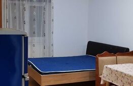 Garsoniera, 28 mp, etaj intermediar, Broscarie