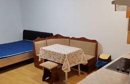 Garsoniera, 28 mp, etaj intermediar, Broscarie