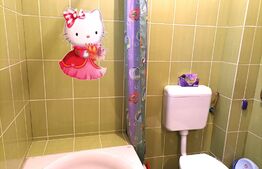 Apartament 2 camere, pe 2 niveluri, 61 mp, zona Compa