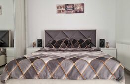 Apartament cu 2 camere, tip penthouse, 38 mp, perfect pentru investitie Turnisor