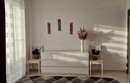 Apartament cu 2 camere, tip penthouse, 38 mp, perfect pentru investitie Turnisor