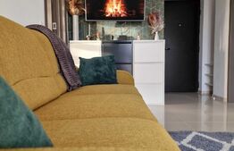 Apartament cu 2 camere, tip penthouse, 38 mp, perfect pentru investitie Turnisor