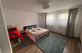 Casa cu 4 camere, 250 mp, teren cu 1024 mp, Trei Stejari