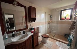 Casa cu 4 camere, 250 mp, teren cu 1024 mp, Trei Stejari