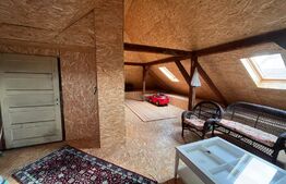 Casa cu 4 camere, 250 mp, teren cu 1024 mp, Trei Stejari