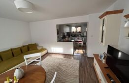 Casa cu 4 camere, 250 mp, teren cu 1024 mp, Trei Stejari