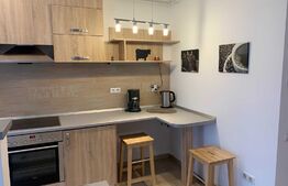 Garsoniera, 32 mp, zona Ferneziu