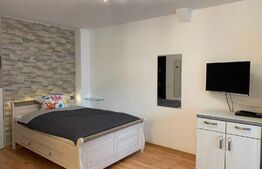 Garsoniera, 32 mp, zona Ferneziu