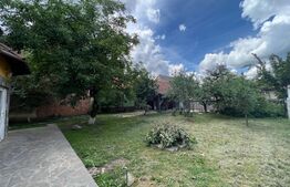 Casa individuala, 300 mp utili, teren cu 720 mp, Terezian