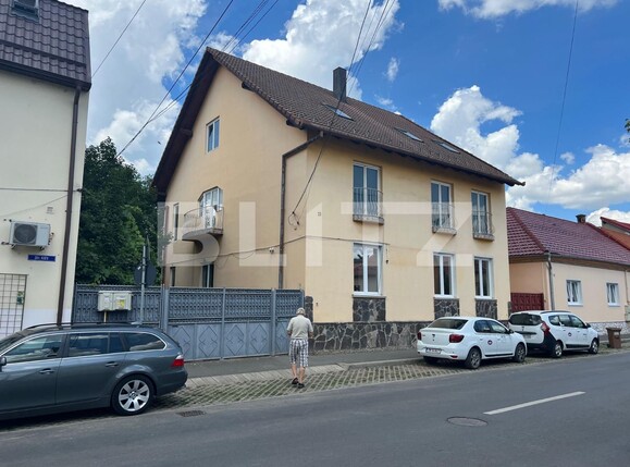 Casa de vânzare 11 camere Terezian - 105336CV | BLITZ Sibiu | Poza1