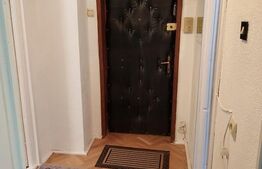 Apartament cu o camera, 40 mp, etaj intermediar, Centru