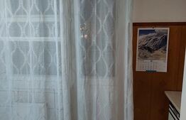 Apartament cu o camera, 40 mp, etaj intermediar, Centru