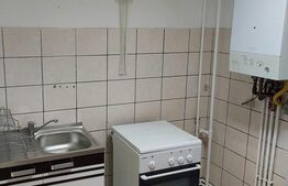 Apartament cu o camera, 40 mp, etaj intermediar, Centru