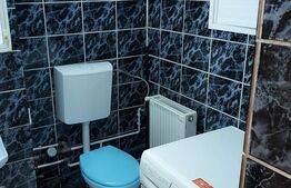 Apartament cu o camera, 40 mp, etaj intermediar, Centru