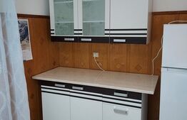 Apartament cu o camera, 40 mp, etaj intermediar, Centru