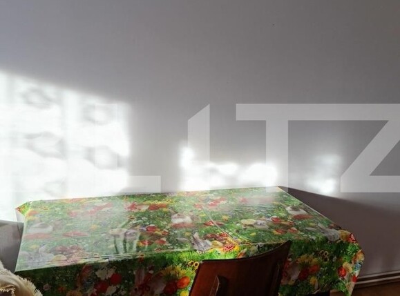 Apartament de închiriat 2 camere Exterior Vest - 106231AI | BLITZ Sibiu | Poza4